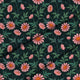 Oxeye Daisy-Oxford