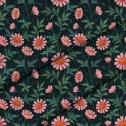 Oxeye Daisy-Panama