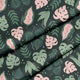 Great Monstera Panama