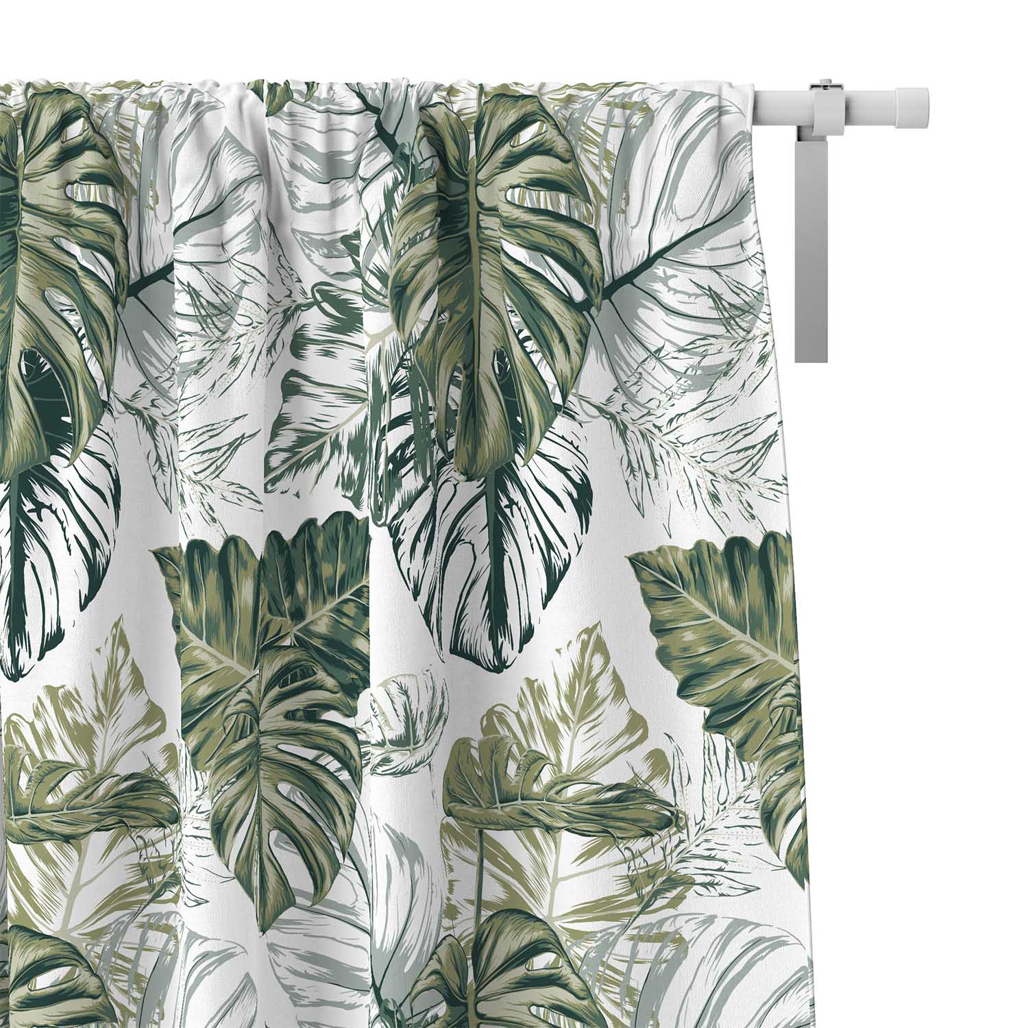 Monstera Grünes Blatt