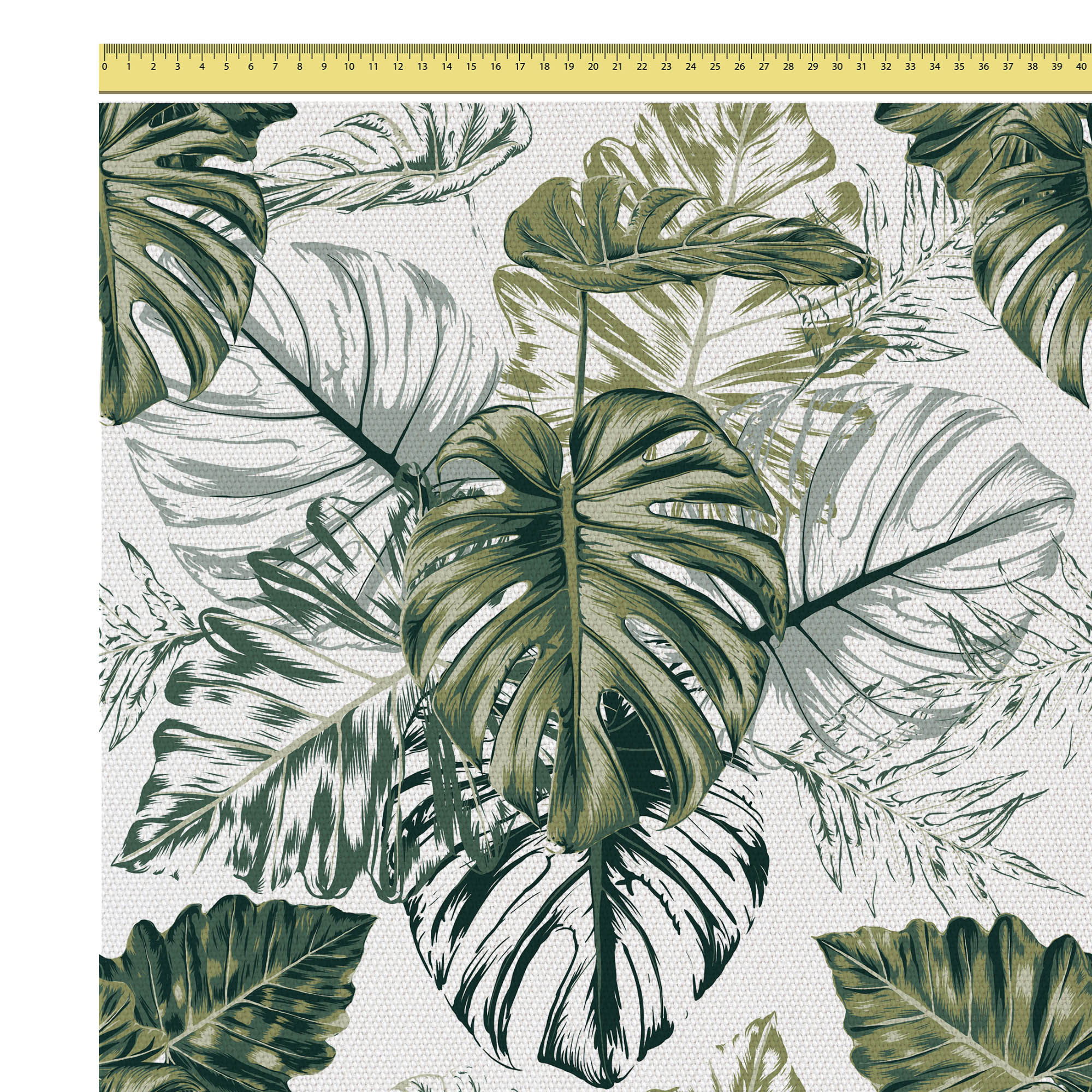 Monstera Grünes Blatt