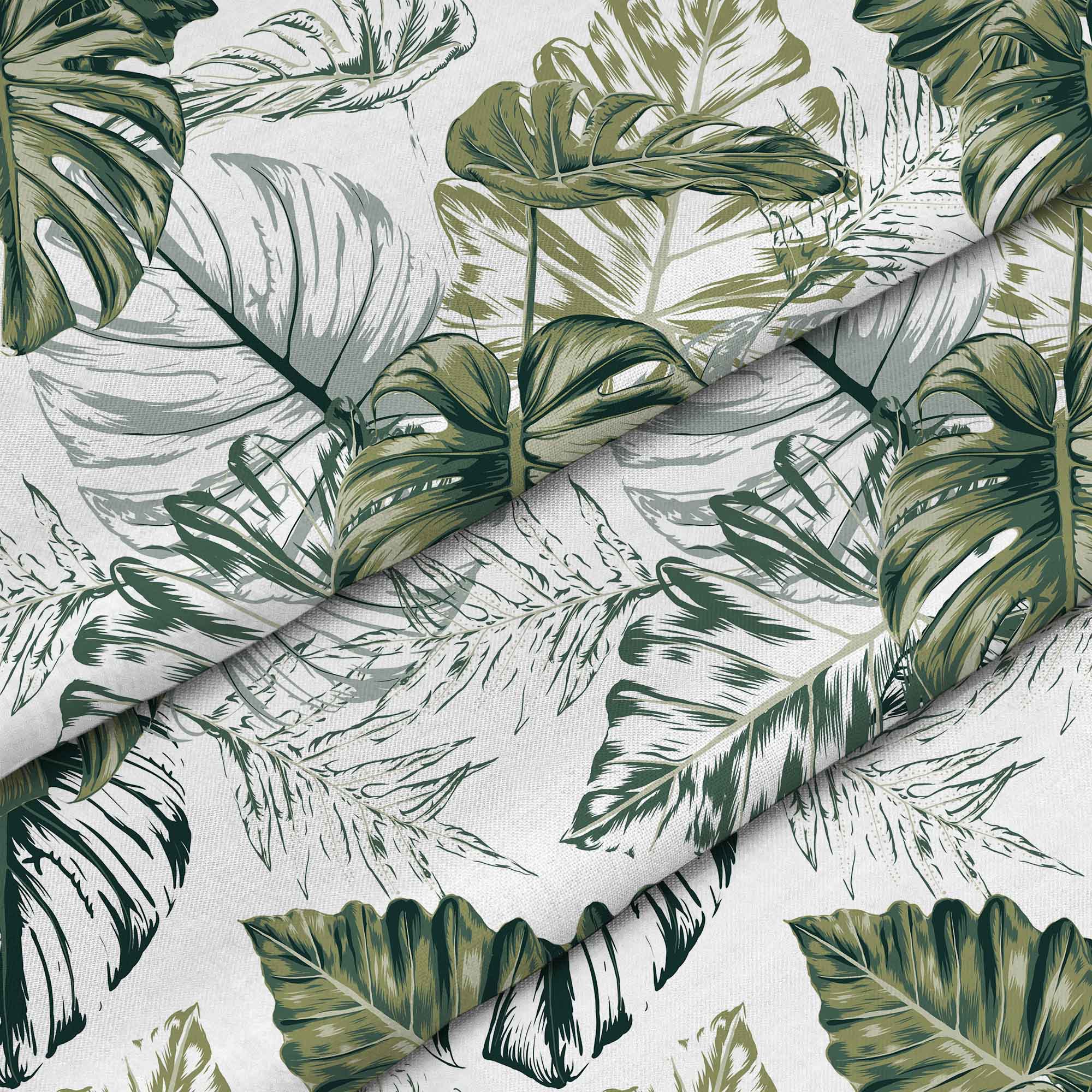 Monstera Grünes Blatt