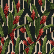 Protea Tropical Red Flowers