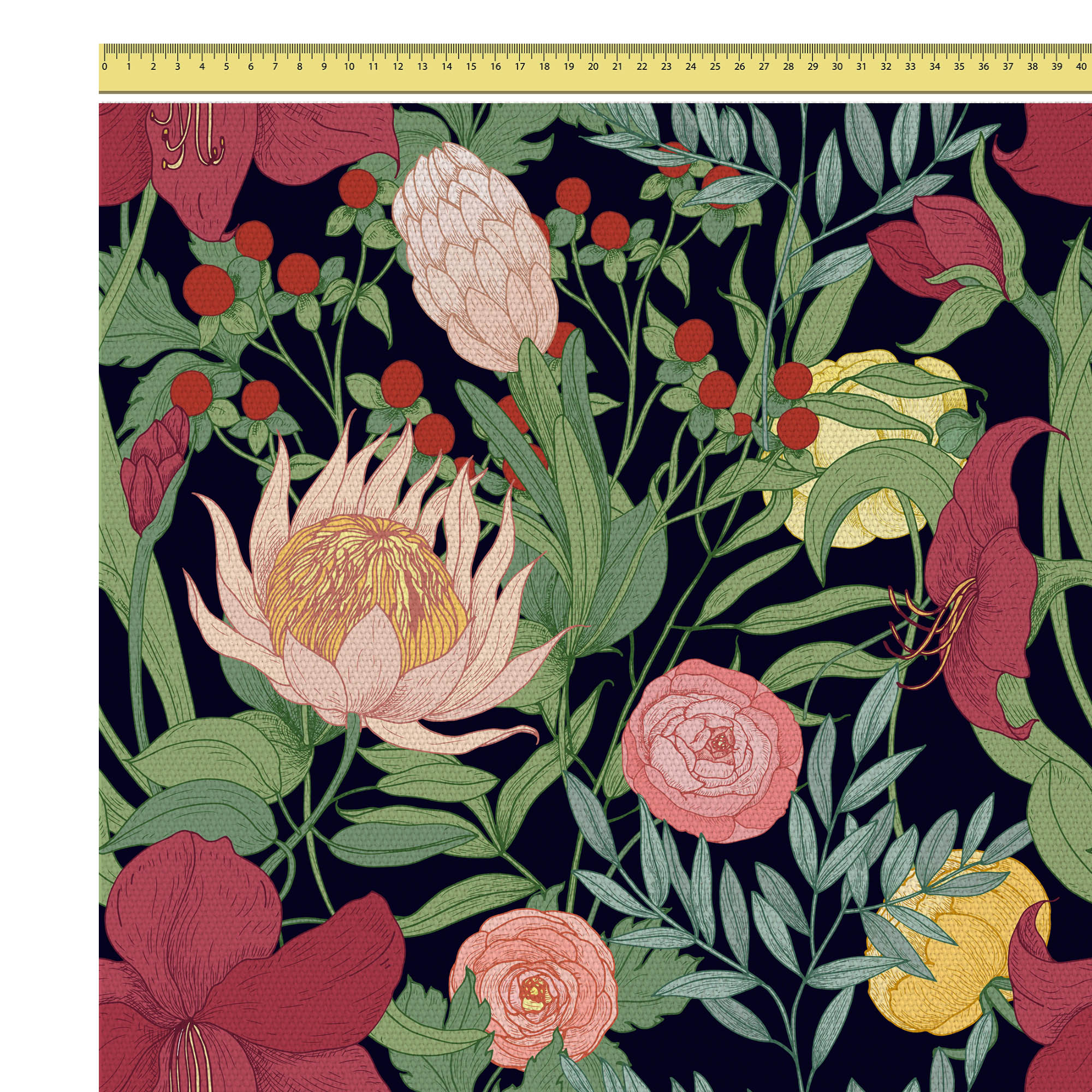 Protea Blooming Flowers