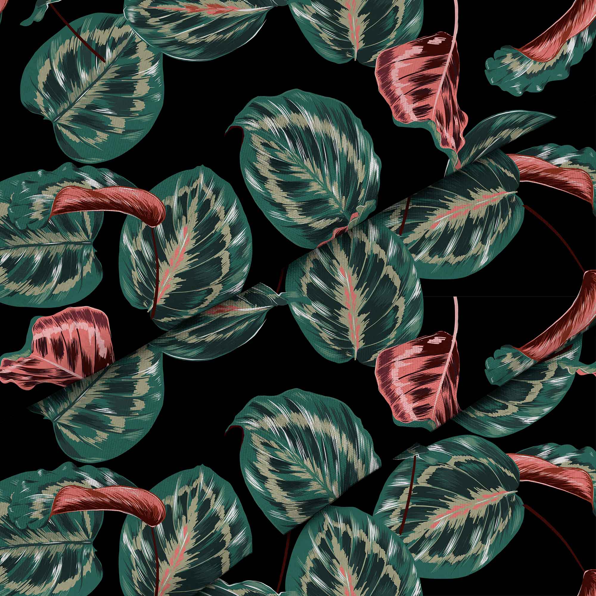 Červená tropická Maranta-Lincoln
