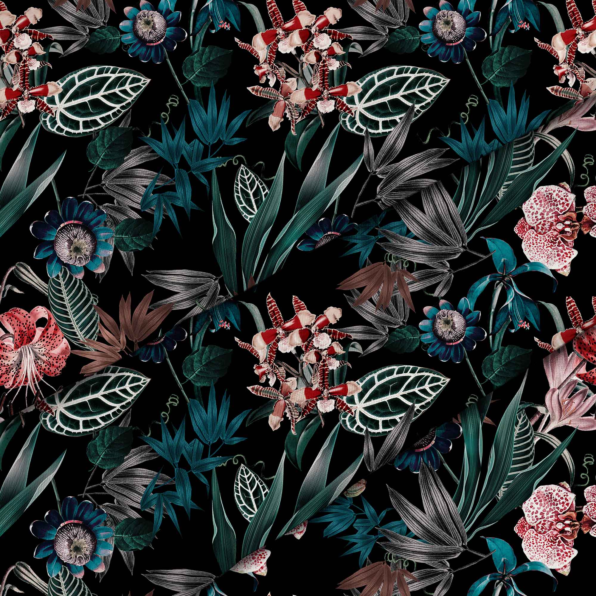Dark Botanic-Panama