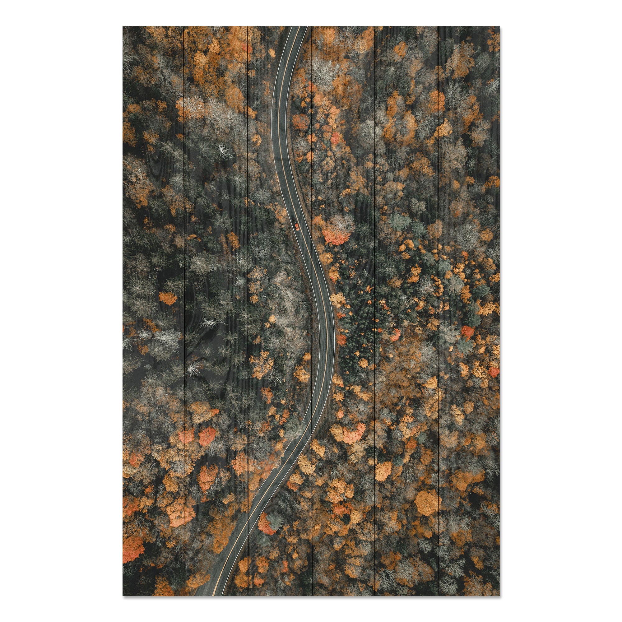 Obraz Wood Winding Road-70x90 cm