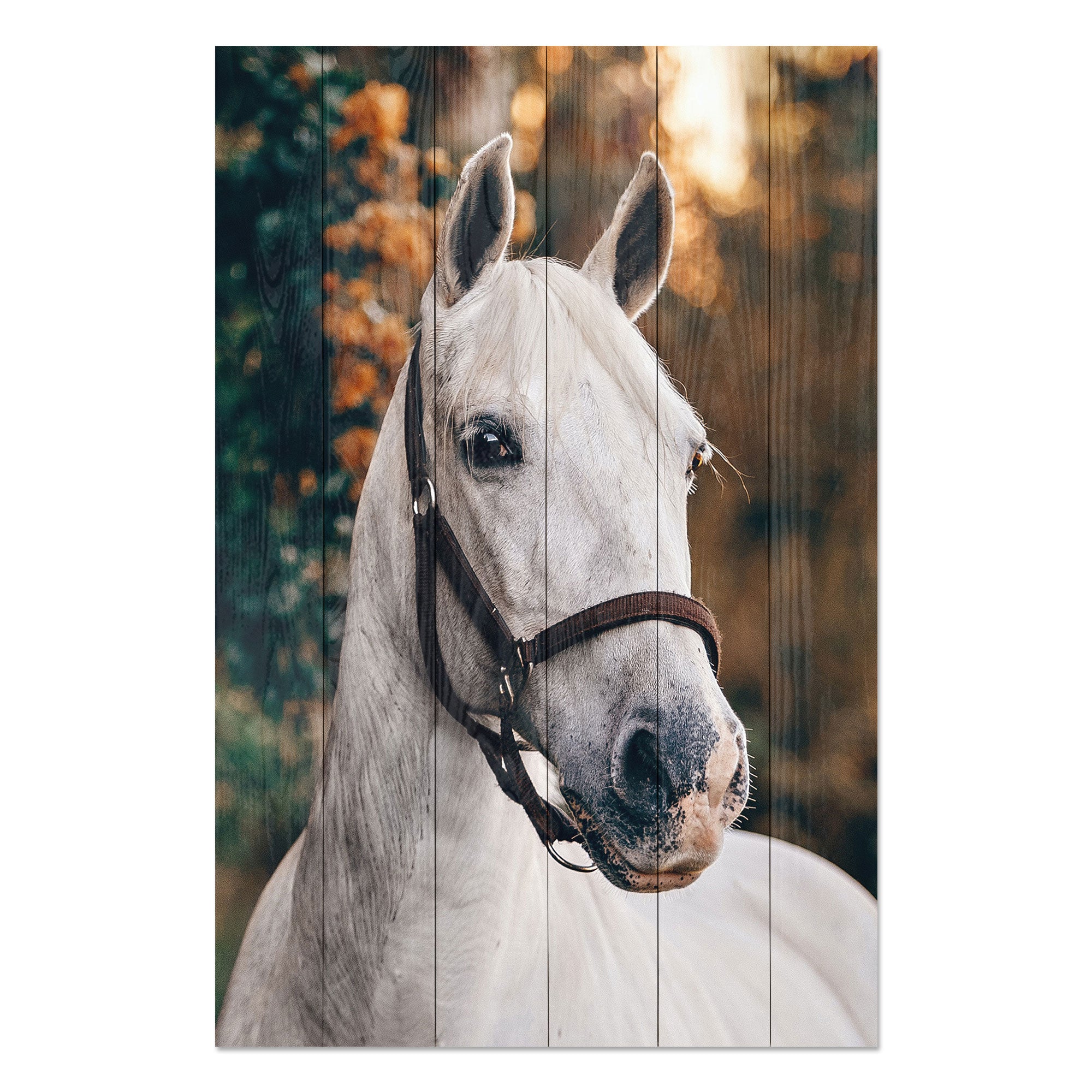 Wood Picture White Horse-40x60 cm