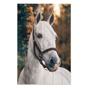 Bild Wood White Horse-70x90 cm