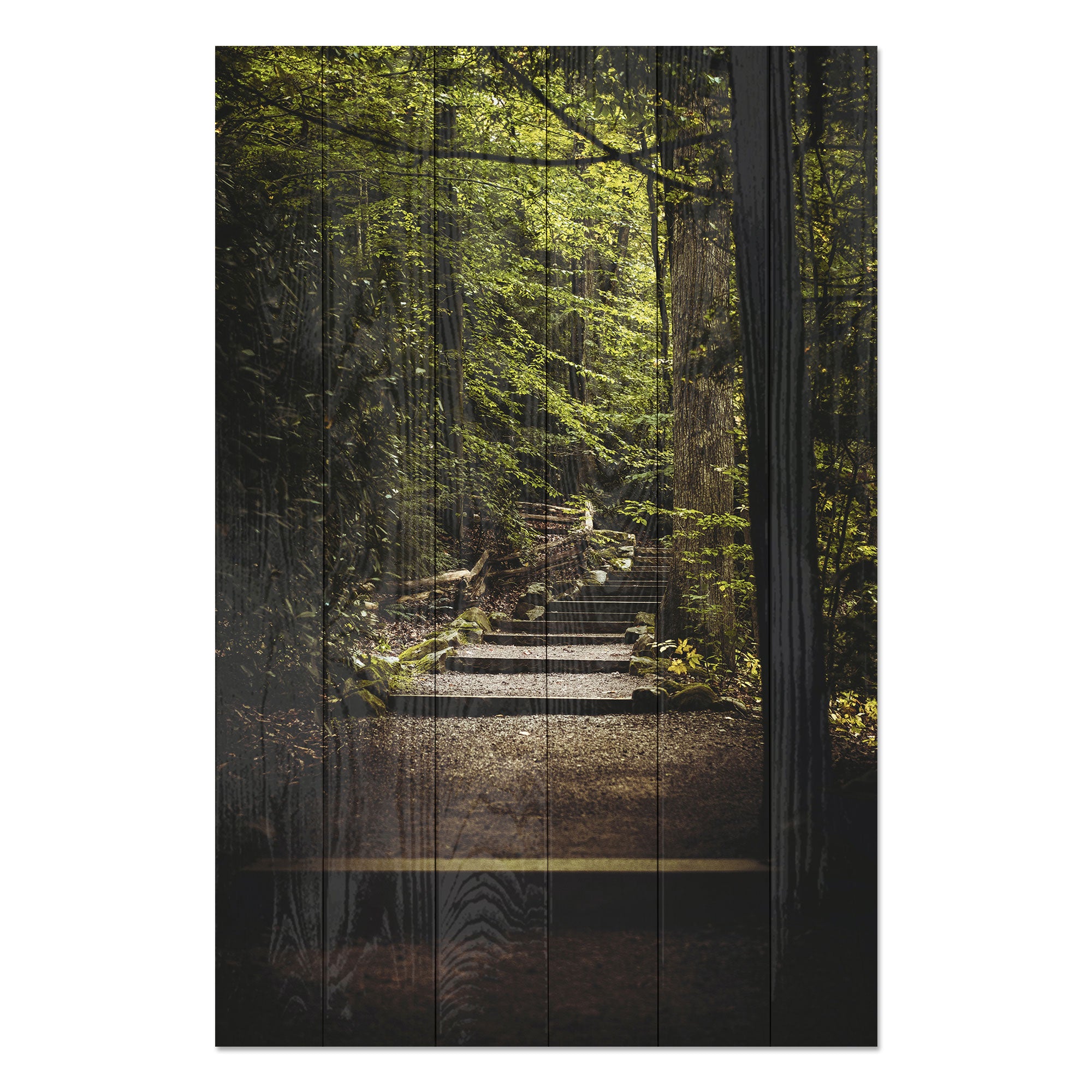 Obraz Wood Stairs in the Forest-20x30 cm