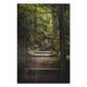Obraz Wood Schody v lese-70x90 cm