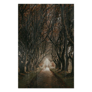 Obraz Wood Road among the Trees-40x60 cm