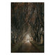 Obraz Wood Road among the Trees