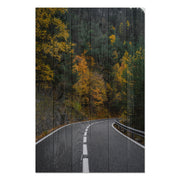 Obraz Wood Road throught the Forest-70x90 cm