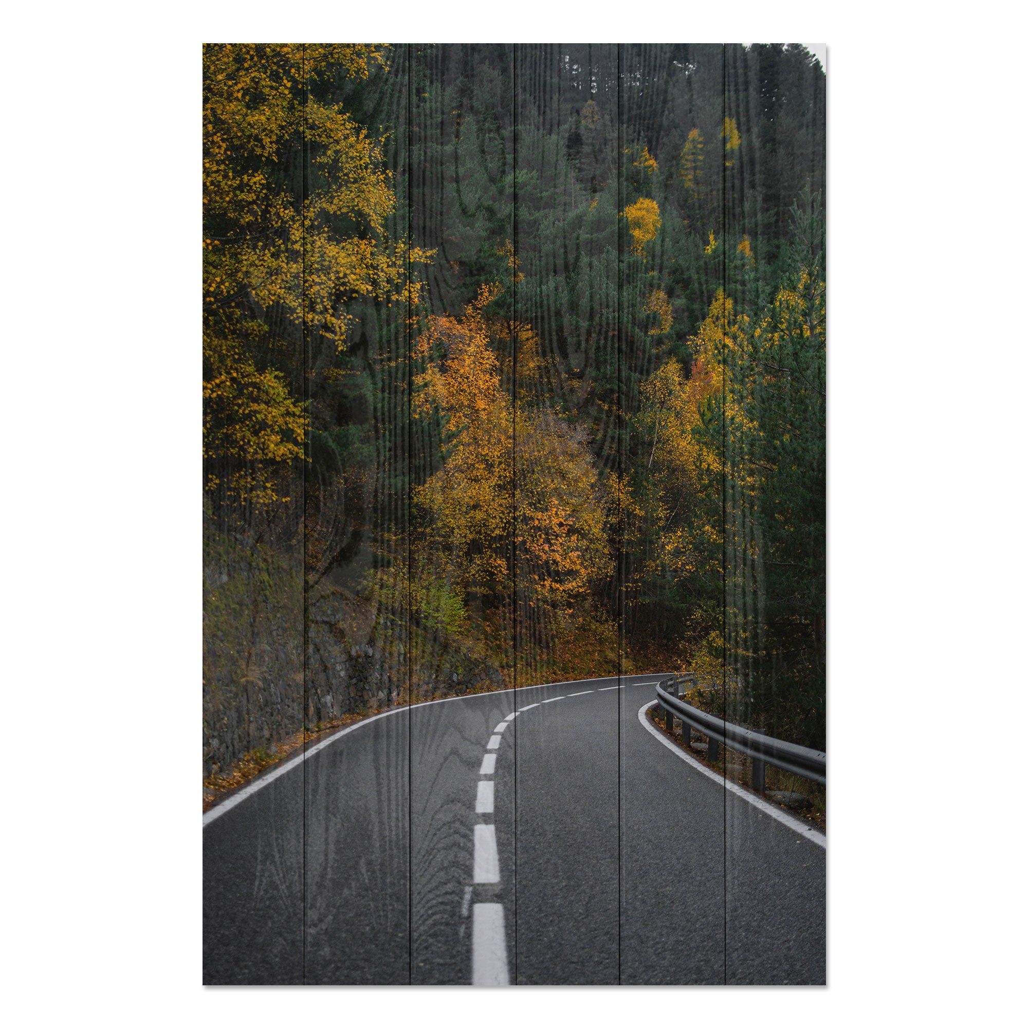 Obraz Wood Road throught the Forest-70x90 cm
