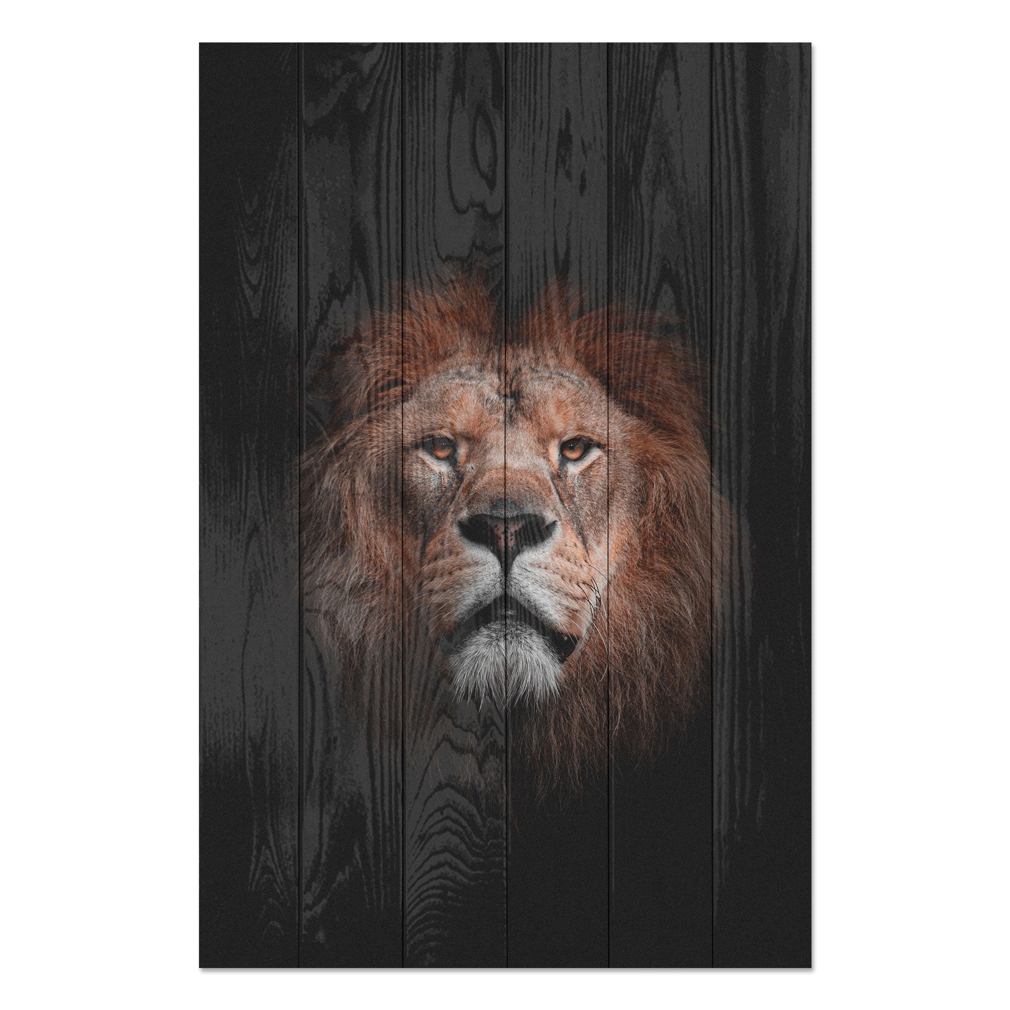 Obraz Wood Portrét lva-70x90 cm