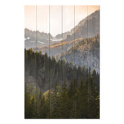 Obraz Wood Trees in the Mountains-40x60 cm