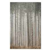 Bild Holz Geheimnisvoller Wald-70x90 cm