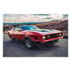 Bild Holz Roter Mustang-70x90 cm