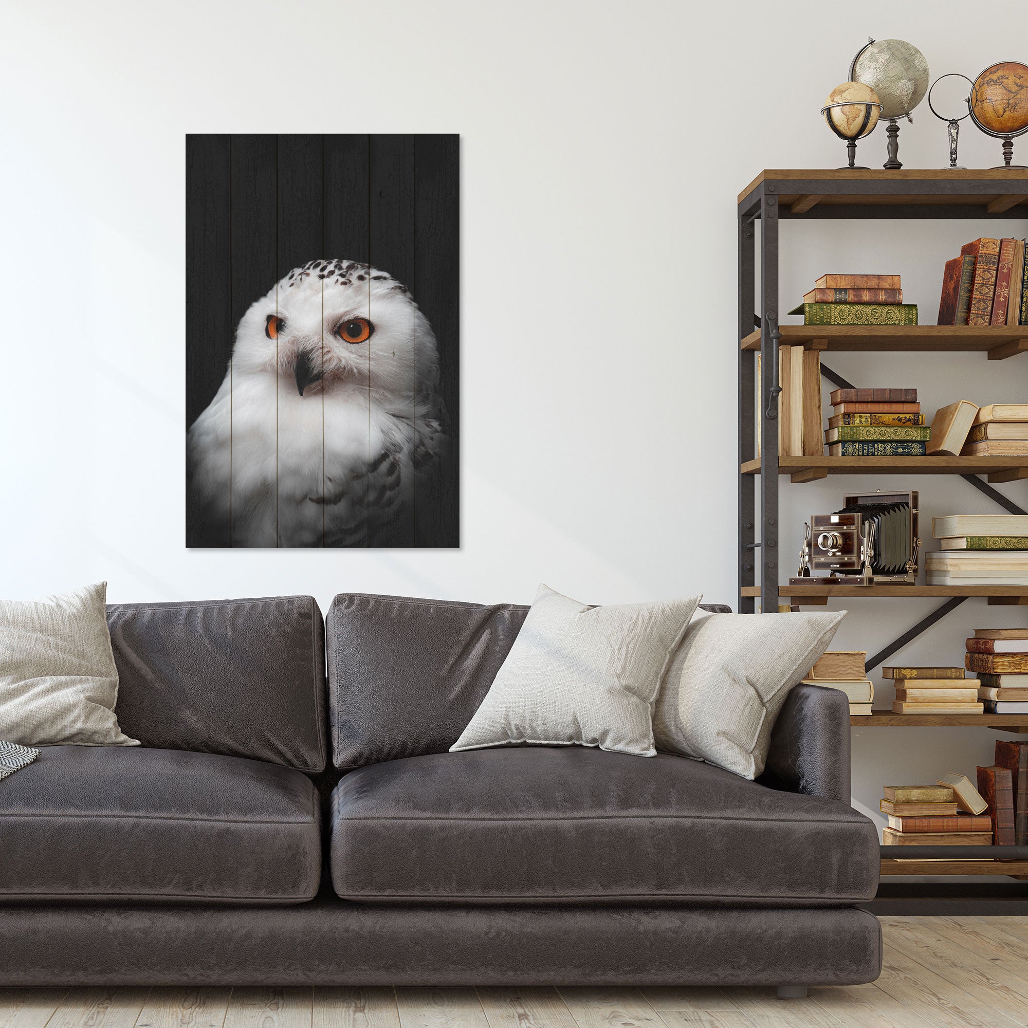 Obraz Wood Owl Portrait-30x30 cm