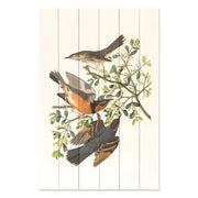Obraz Wood Three Birds on a Branch-70x90 cm