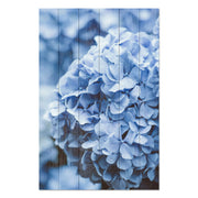 Obraz Wood Hydrangea-50x70 cm