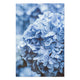 Obraz Wood Hydrangea