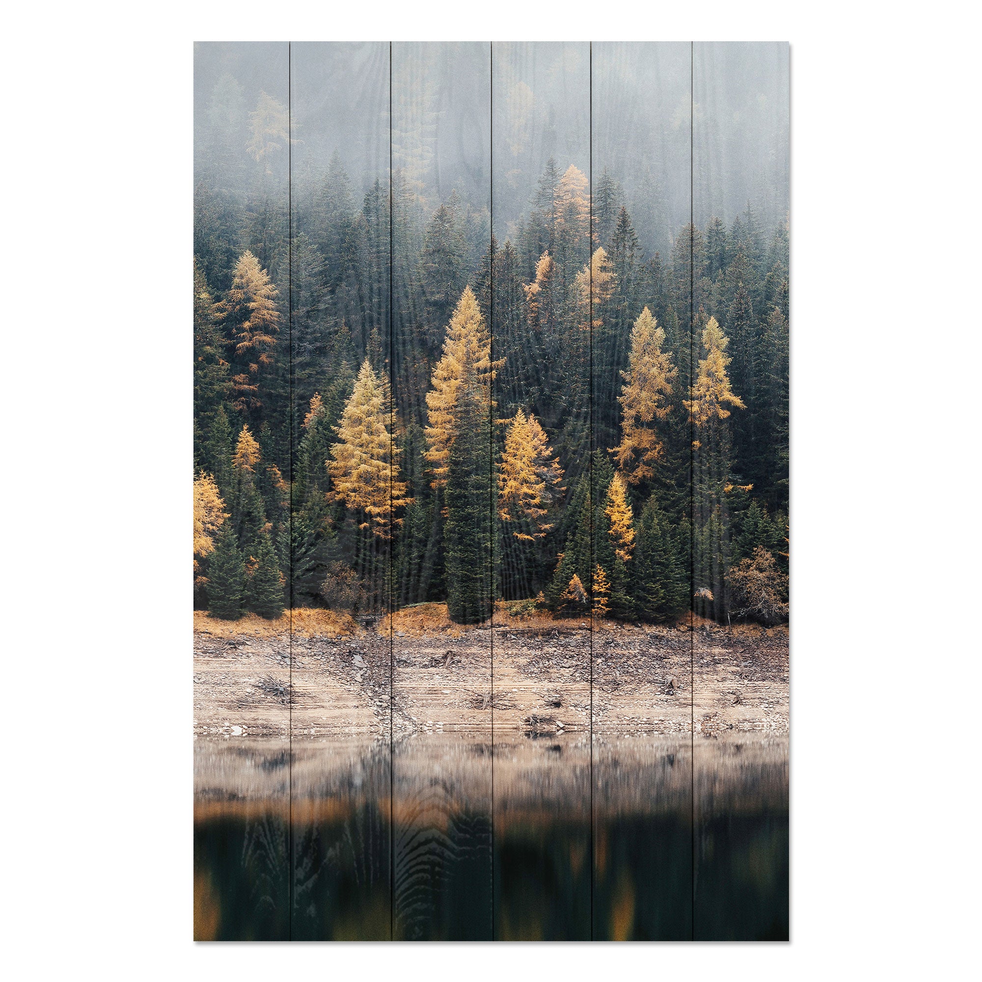 Obraz Wood Mlžný les-60x90 cm