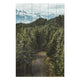 Wood Forest Track Painting-20x30 cm
