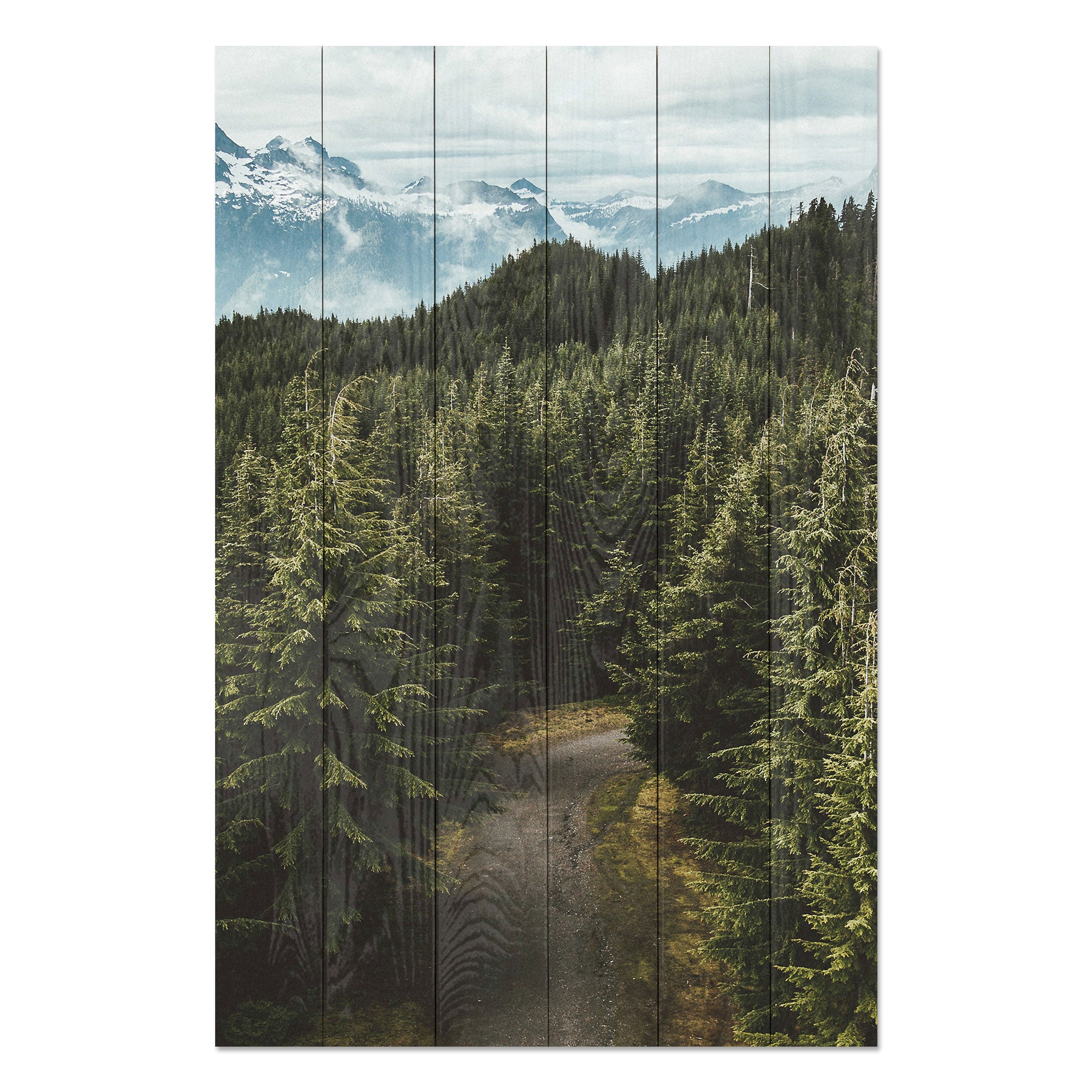 Obraz Wood Forest Track-30x40 cm