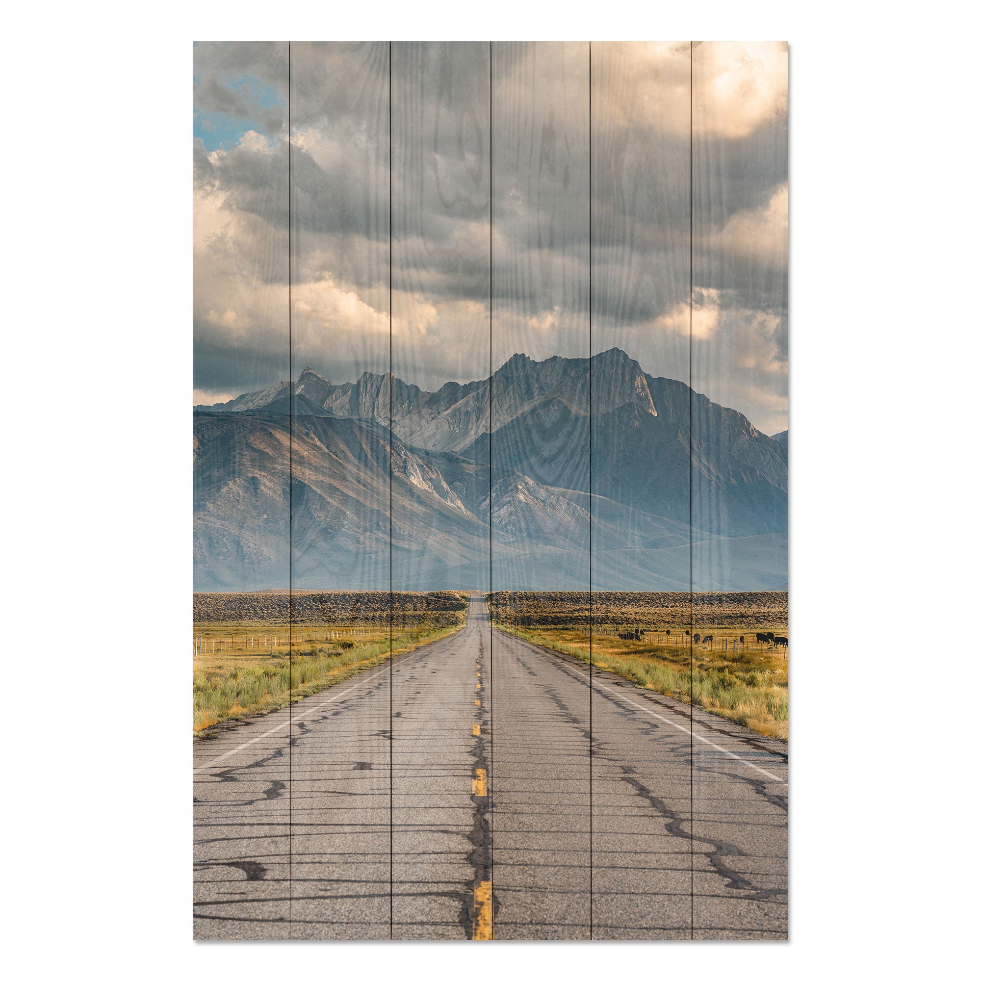 Obraz Wood Long Road