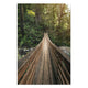 Obraz Wood Waldbrücke-40x60 cm