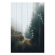 Obraz Wood Foggy Landscape-50x70 cm