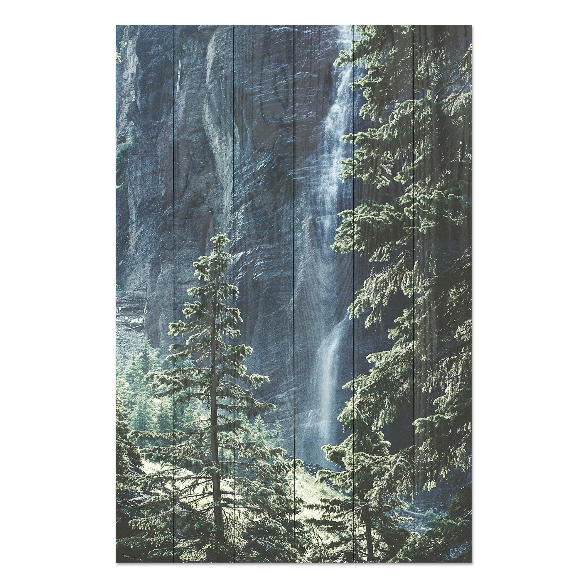 Obraz Wood Forest Waterfall