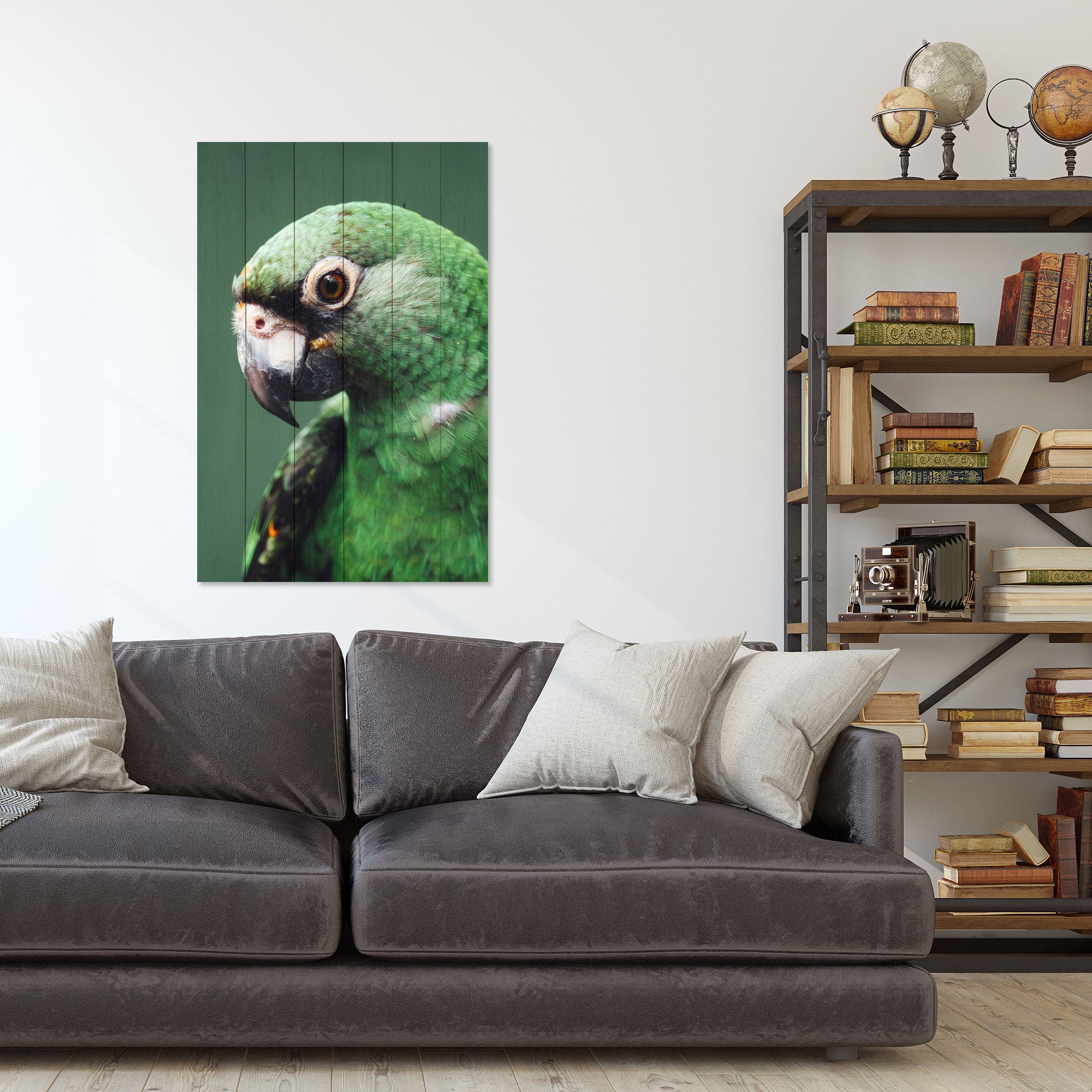 Obraz Wood Parrot-40x60 cm