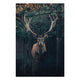 Obraz Wood Deer-50x70 cm