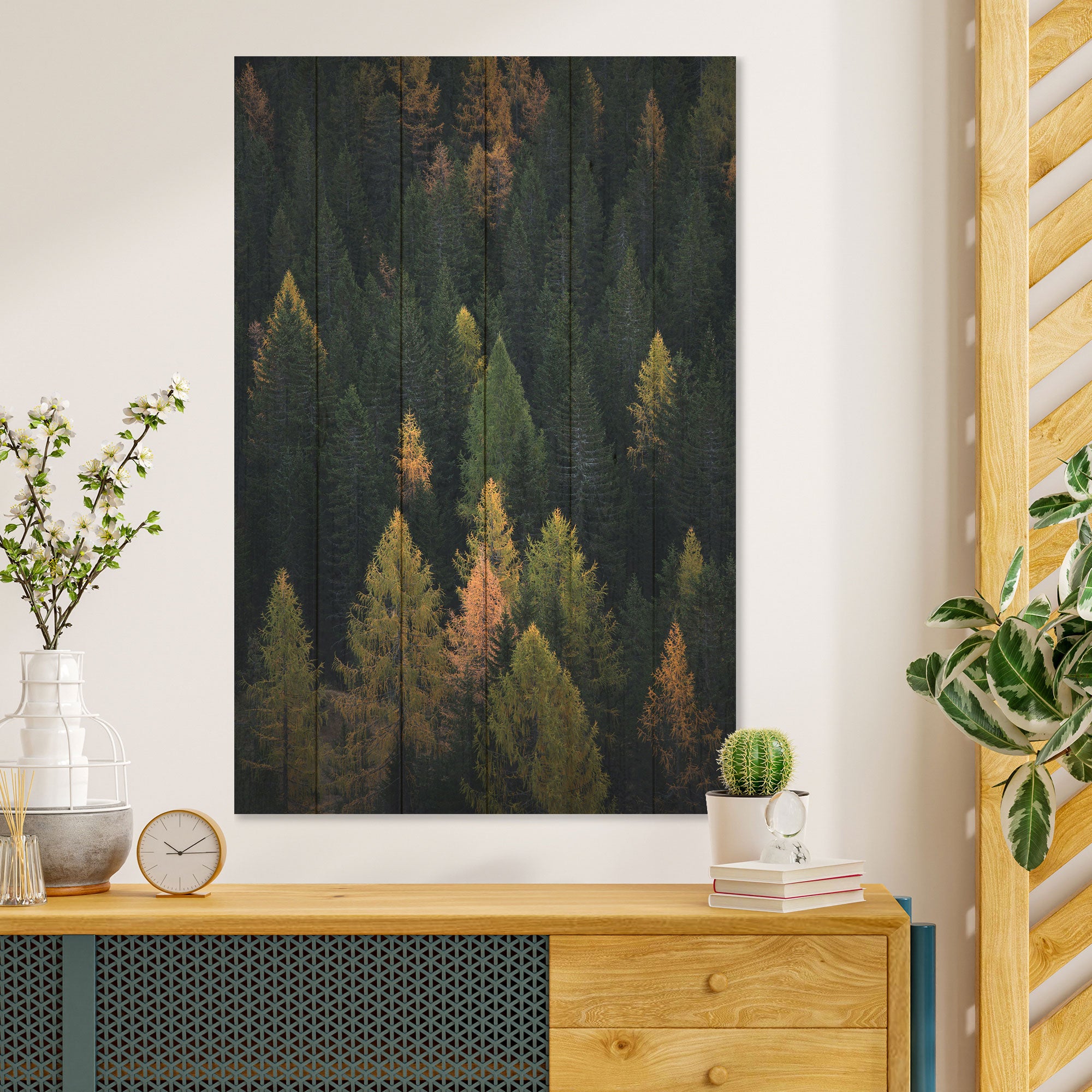 Obraz Wood Coniferous Forest