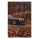Obraz Wood Field Brown-30x40 cm