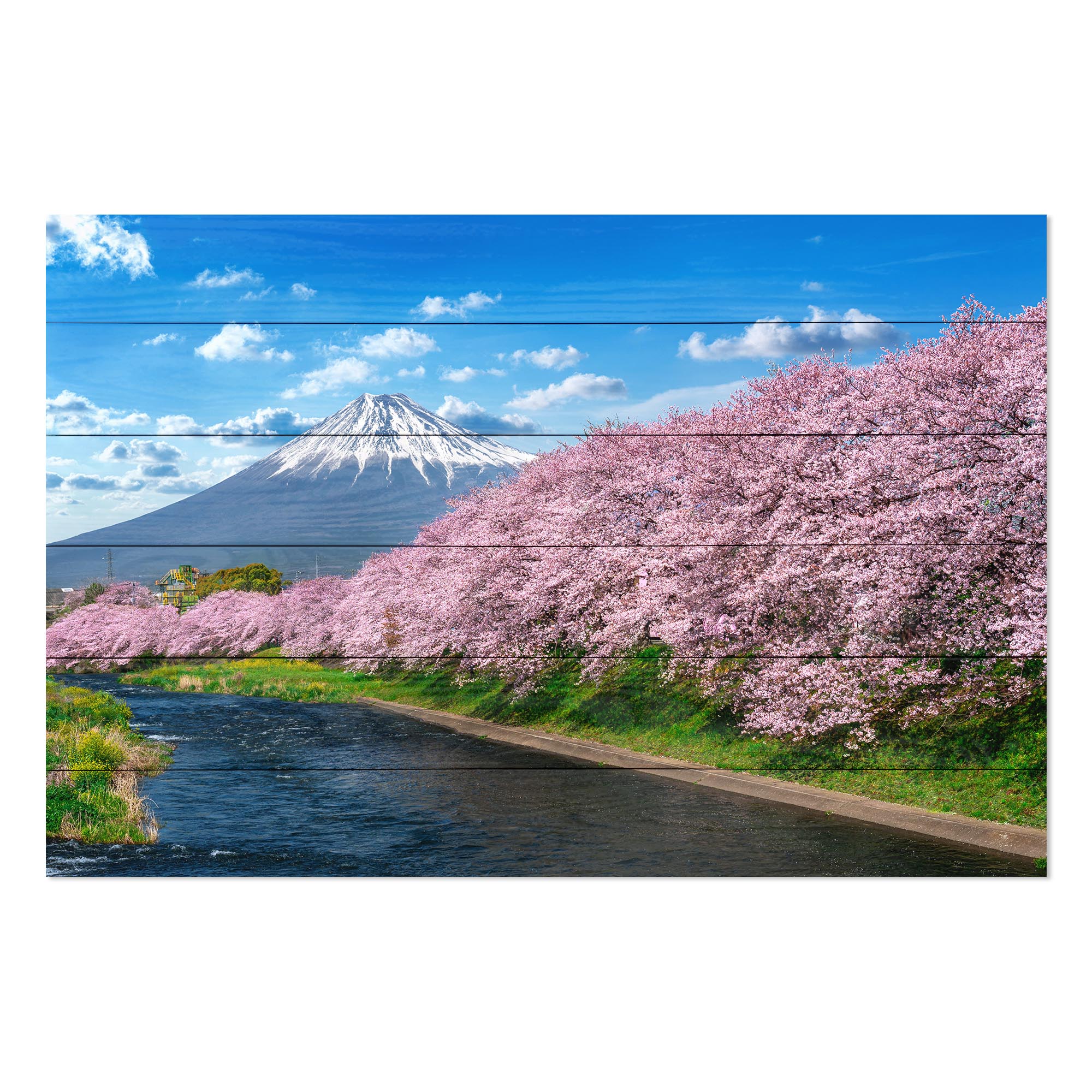 Obraz Wood Fuji Mountain in Spring-30x40 cm