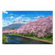 Obraz Wood Fuji Mountain in Spring-30x40 cm