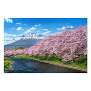 Obraz Wood Fuji Mountain in Spring-40x60 cm