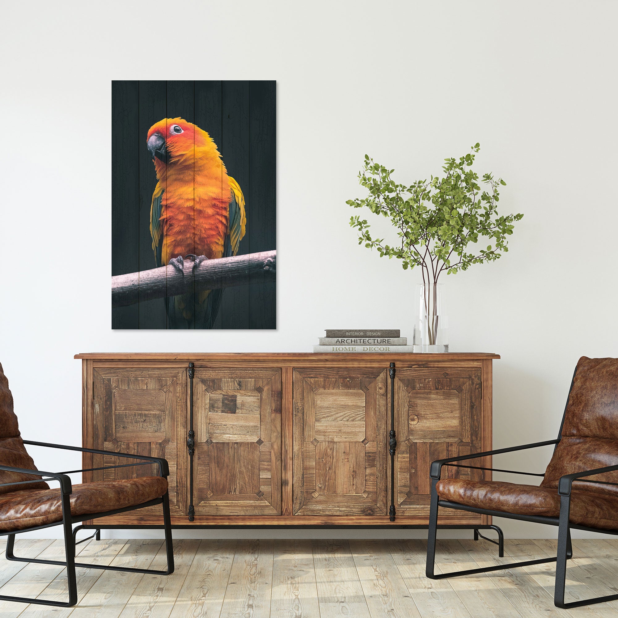 Obraz Wood Papuga-50x70 cm