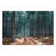 Obraz Wood Cesta v Lesu-30x40 cm
