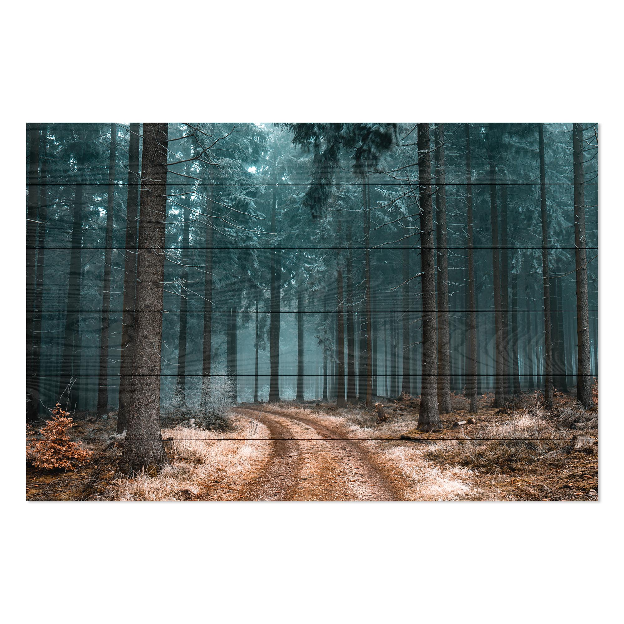 Obraz Wood Cesta v Lesu-60x90 cm
