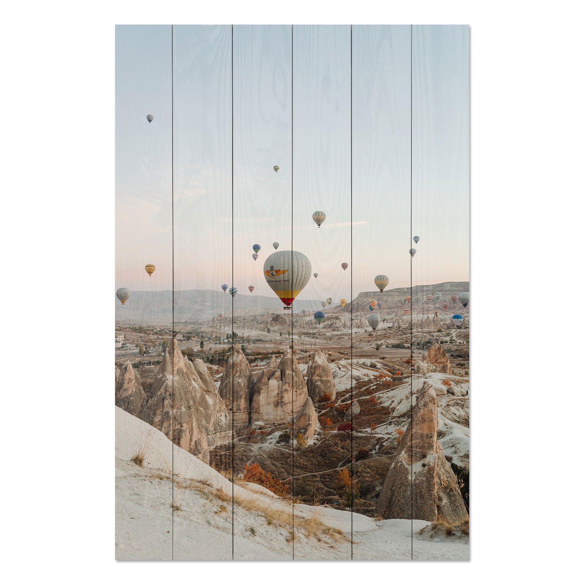 Obraz Wood Balloon Flight