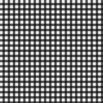 Tkanina Black and white check