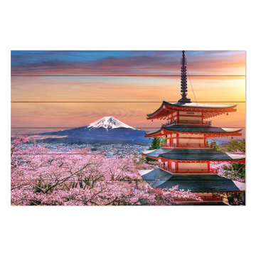 Obraz na drewnie Cherry Blossoms and Fuji Mountain