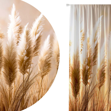 Zasłona Pampas Grass
